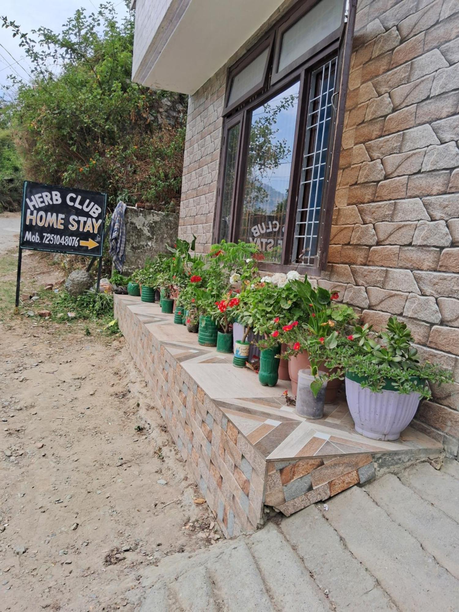 Herb Club Homestay
